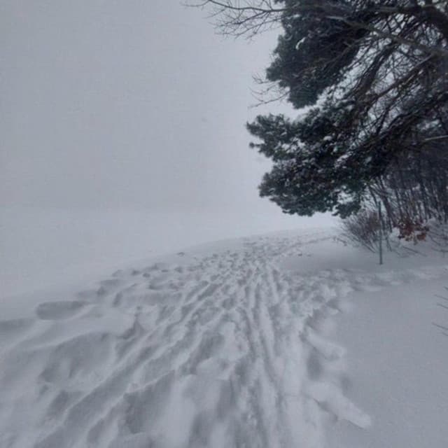 winter II