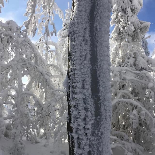 winter