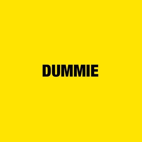 DUMMIE [V2] — A$AP Rocky