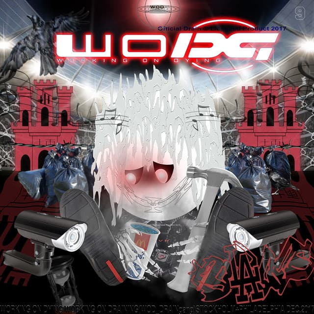 Working On Dying (2017)
