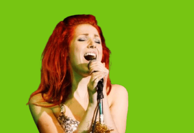 2009 Album