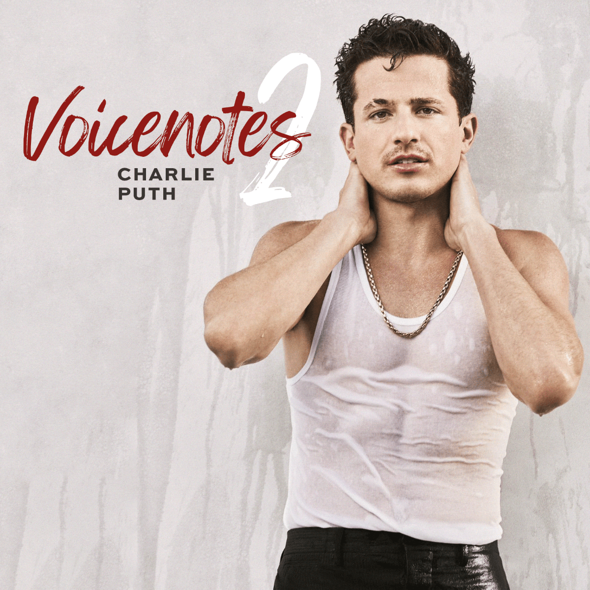 Voicenotes 2 [V2]