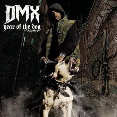 Year of the Dog... Again