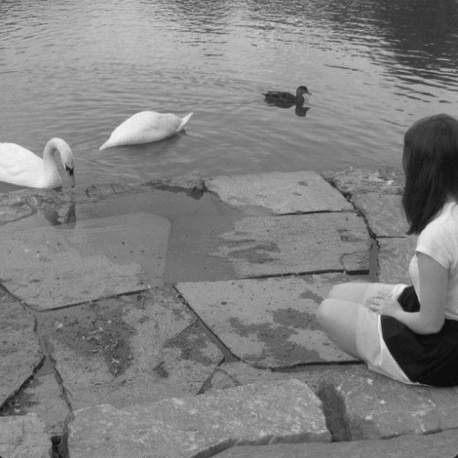 Pre-Debut