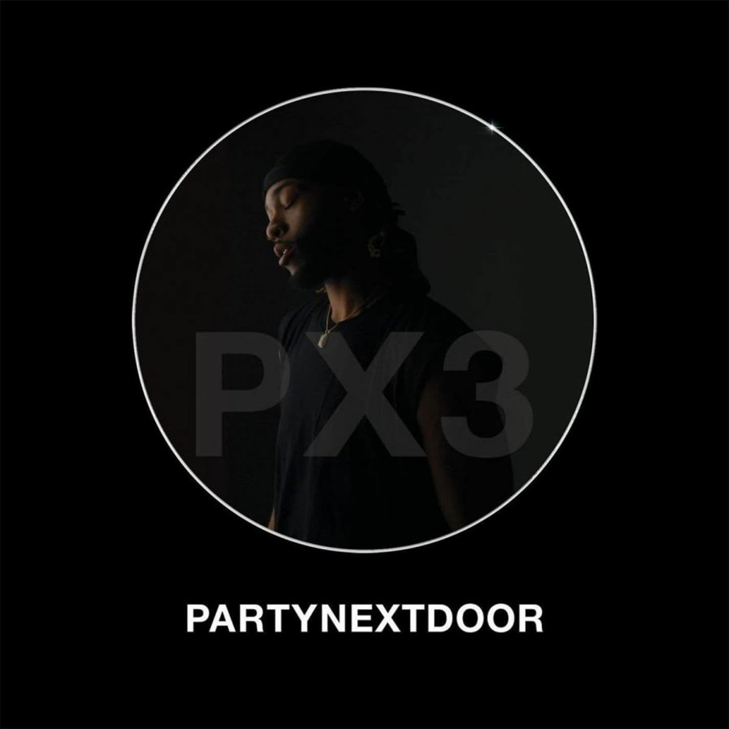 PARTYNEXTDOOR 3 (P3)