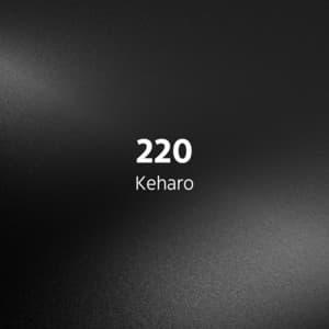 220 — Destroy Lonely